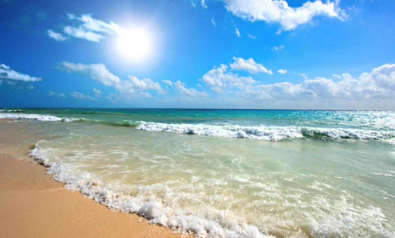 Messembria A309 Studio Sunny Beach Eksteriør billede